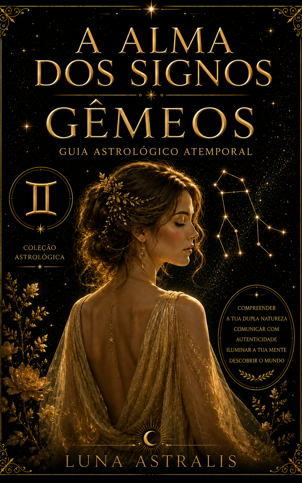 Capa do livro Gêmeos